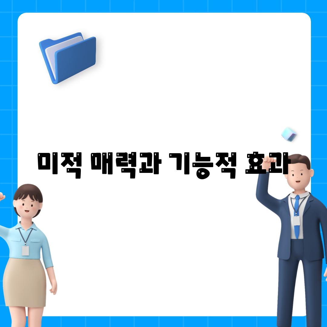 미적 매력과 기능적 효과