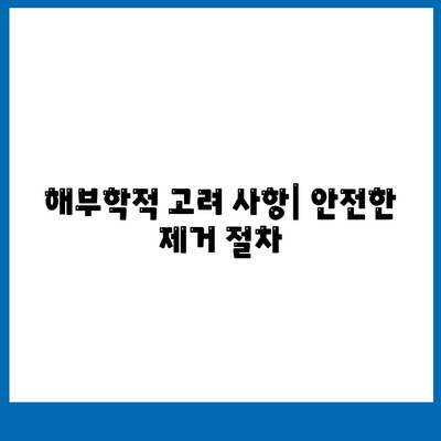 해부학적 고려 사항| 안전한 제거 절차