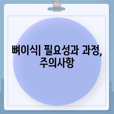 강원도 정선군 남면 임플란트 가격 | 비용 | 부작용 | 기간 | 종류 | 뼈이식 | 보험 | 2024