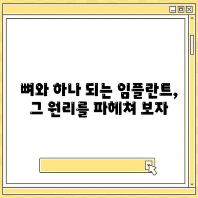 임플란트 원리