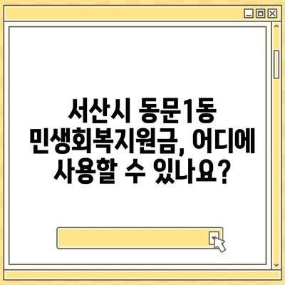 충청남도 서산시 동문1동 민생회복지원금 | 신청 | 신청방법 | 대상 | 지급일 | 사용처 | 전국민 | 이재명 | 2024