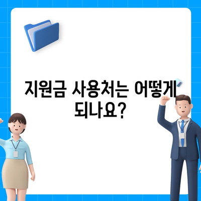 충청남도 보령시 미산면 민생회복지원금 | 신청 | 신청방법 | 대상 | 지급일 | 사용처 | 전국민 | 이재명 | 2024