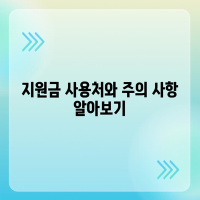 서울시 성동구 성수1가제2동 민생회복지원금 | 신청 | 신청방법 | 대상 | 지급일 | 사용처 | 전국민 | 이재명 | 2024