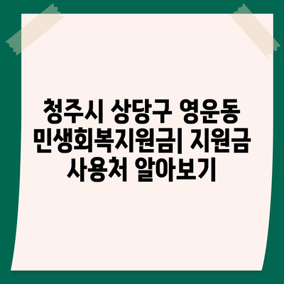 충청북도 청주시 상당구 영운동 민생회복지원금 | 신청 | 신청방법 | 대상 | 지급일 | 사용처 | 전국민 | 이재명 | 2024