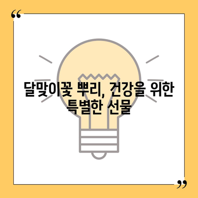 달맞이꽃 뿌리 효능, 알고 계신가요? | 건강, 피부, 항염증, 달맞이꽃, 뿌리, 효능