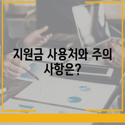 충청북도 보은군 내북면 민생회복지원금 | 신청 | 신청방법 | 대상 | 지급일 | 사용처 | 전국민 | 이재명 | 2024