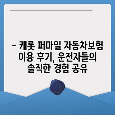 캐롯 퍼마일 자동차보험 이용 후기| 실제 운전자들의 경험 공유 | 캐롯, 퍼마일, 자동차보험, 후기, 장단점, 추천