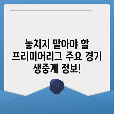 프리미어리그 실시간 중계 | 경기 일정, 시청 방법, 채널 정보