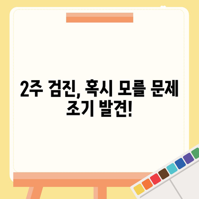 임플란트 수술 후 2주 검진 중요성