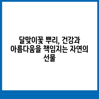 달맞이꽃 뿌리 효능, 알고 계신가요? | 건강, 피부, 항염증, 달맞이꽃, 뿌리, 효능