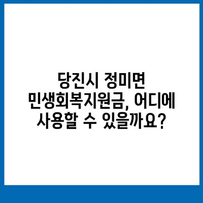 충청남도 당진시 정미면 민생회복지원금 | 신청 | 신청방법 | 대상 | 지급일 | 사용처 | 전국민 | 이재명 | 2024