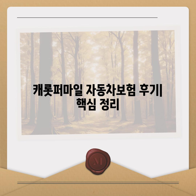 캐롯퍼마일 자동차보험 후기| 실제 이용자 경험 및 장단점 분석 | 자동차보험, 운전습관, 할인