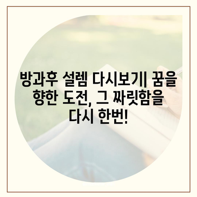 방과후 설렘 다시보기| 풀영상 무료 시청 & 명장면 모음 | 아이돌, 데뷔, 서바이벌