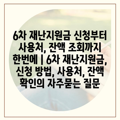 6차 재난지원금 신청부터 사용처, 잔액 조회까지 한번에 | 6차 재난지원금, 신청 방법, 사용처, 잔액 확인