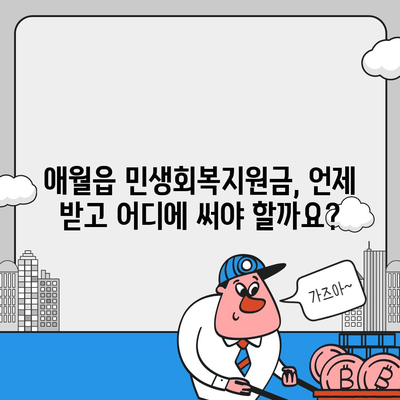 제주도 제주시 애월읍 민생회복지원금 | 신청 | 신청방법 | 대상 | 지급일 | 사용처 | 전국민 | 이재명 | 2024