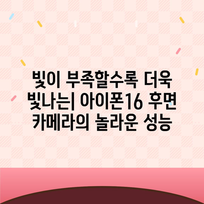 아이폰16 후면 카메라, 저조도에서 놀라운 촬영 능력