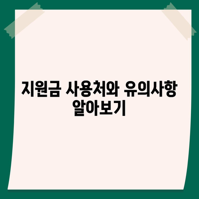 전라남도 무안군 현경면 민생회복지원금 | 신청 | 신청방법 | 대상 | 지급일 | 사용처 | 전국민 | 이재명 | 2024