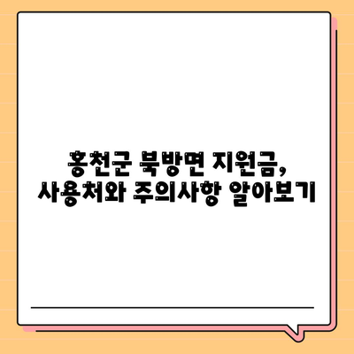 강원도 홍천군 북방면 민생회복지원금 | 신청 | 신청방법 | 대상 | 지급일 | 사용처 | 전국민 | 이재명 | 2024