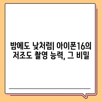 아이폰16 후면 카메라, 저조도에서 놀라운 촬영 능력