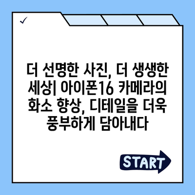 아이폰16 후면 카메라, 더 큰 화소로 풍부한 디테일 캡처