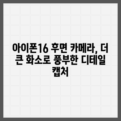 아이폰16 후면 카메라, 더 큰 화소로 풍부한 디테일 캡처