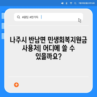 전라남도 나주시 반남면 민생회복지원금 | 신청 | 신청방법 | 대상 | 지급일 | 사용처 | 전국민 | 이재명 | 2024