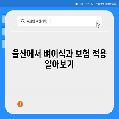 울산시 북구 농소2동 임플란트 가격 | 비용 | 부작용 | 기간 | 종류 | 뼈이식 | 보험 | 2024