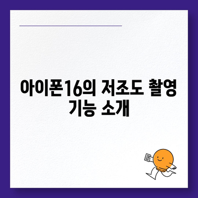 아이폰16 카메라 | 향상된 낮은 조명 성능으로 어둠에서 빛을 찾다