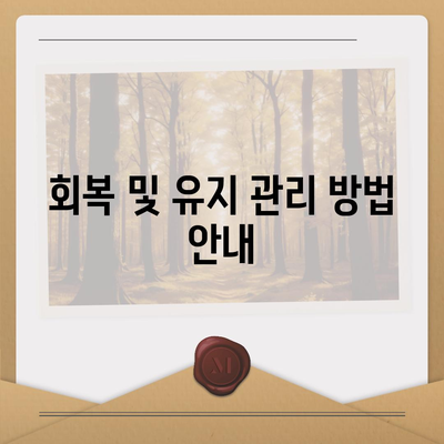 디지털 임플란트의 체계적인 과정