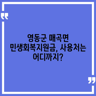 충청북도 영동군 매곡면 민생회복지원금 | 신청 | 신청방법 | 대상 | 지급일 | 사용처 | 전국민 | 이재명 | 2024