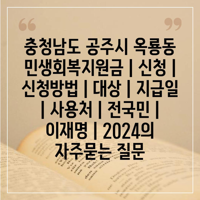 충청남도 공주시 옥룡동 민생회복지원금 | 신청 | 신청방법 | 대상 | 지급일 | 사용처 | 전국민 | 이재명 | 2024