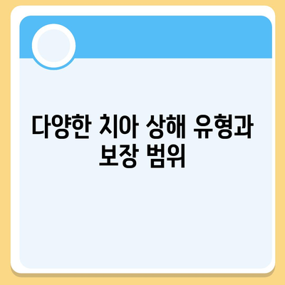 치아 상해에 대비하는 치아 보험