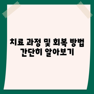 임플란트 브리지,치아 손실 해결을 위한 지속적인 솔루션