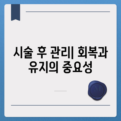 전체 임플란트,성공률을 높이기 위한 단계별 안내