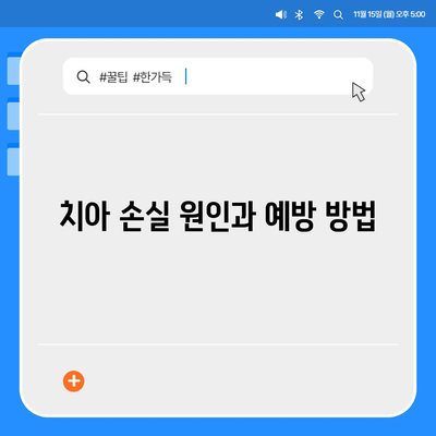 임플란트 브리지,치아 손실 해결을 위한 지속적인 솔루션