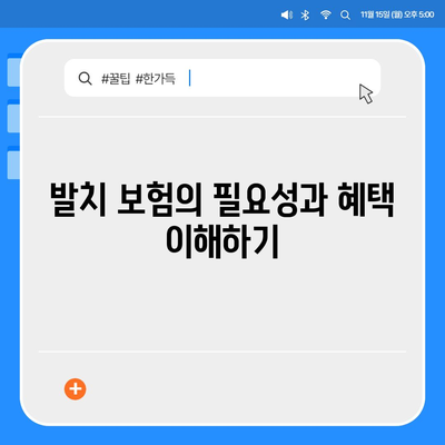 2024년 최고의 발치 보험 추천은?