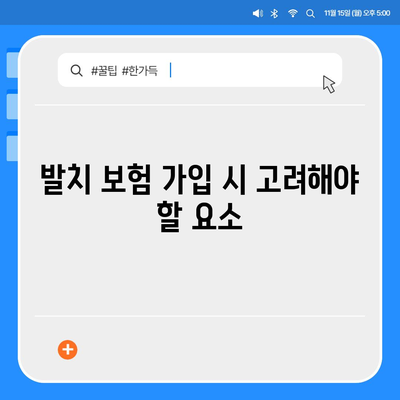 2024년 최고의 발치 보험 추천은?