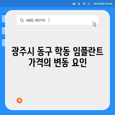 광주시 동구 학동 임플란트 가격 | 비용 | 부작용 | 기간 | 종류 | 뼈이식 | 보험 | 2024