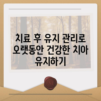 학동역 임플란트 내 치아 같은 편안함