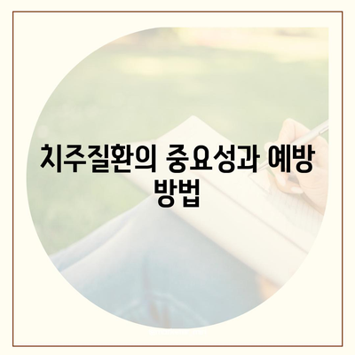 치주질환 보험 | 치과 비용 절약의 비결