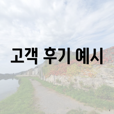 고객 후기 예시