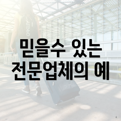 믿을수 있는 전문업체의 예