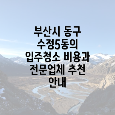 부산시 동구 수정5동의 입주청소 비용과 전문업체 추천 안내