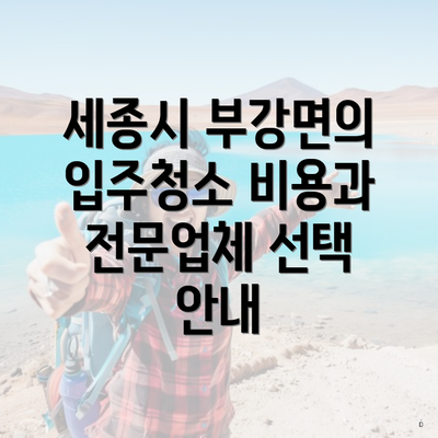 세종시 부강면의 입주청소 비용과 전문업체 선택 안내