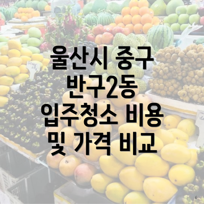 울산시 중구 반구2동 입주청소 비용과 전문업체 추천 안내