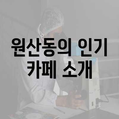 전라남도 목포시 원산동 커피원두 추천 | 카페 | 커피숍 | 원두 직수입 | 원두납품 | 대용량 | 도매 | 블랜드 | 당일 로스트 | 사업자 업소용 | 무료샘플 2 원산동의 인기 카페 소개
