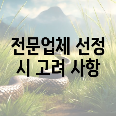 전문업체 선정 시 고려 사항