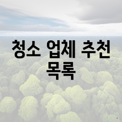 청소 업체 추천 목록
