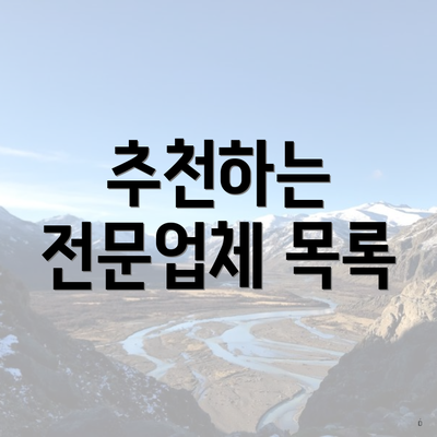 추천하는 전문업체 목록