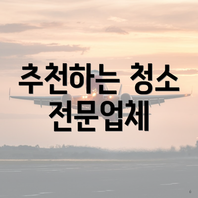 추천하는 청소 전문업체